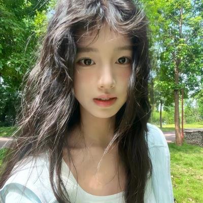 鸟儿们的奇幻冒险